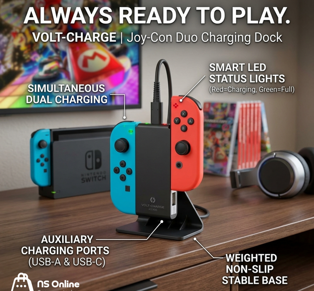 Grips for switch cont for NS 2